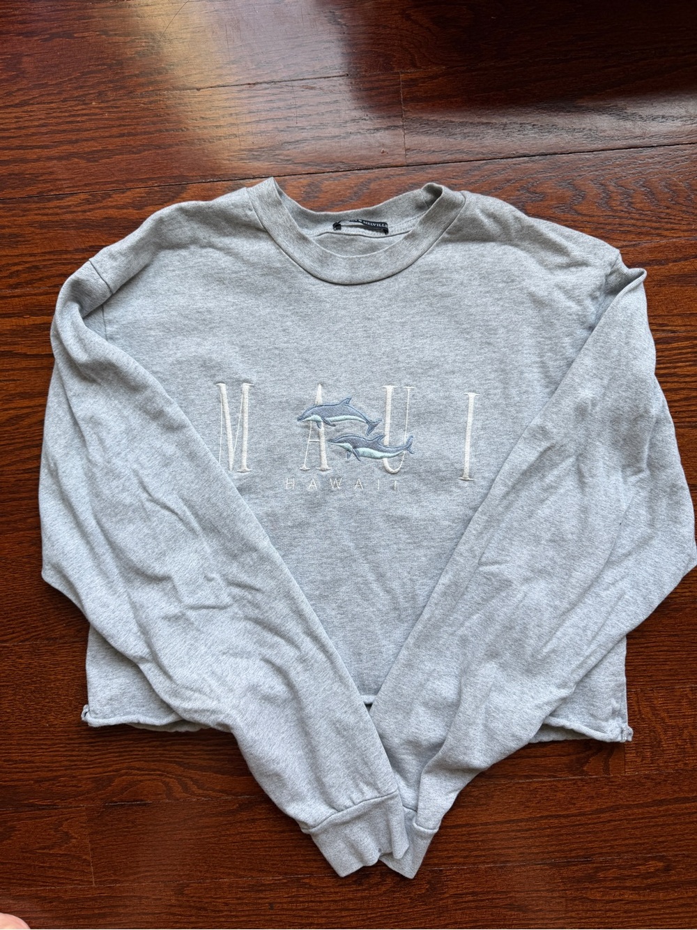Brandy Melville Gray Maui Dolphin Cropped Long Sleeve